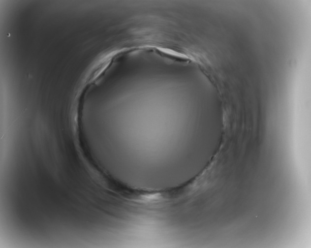 X0000088140054200706042017