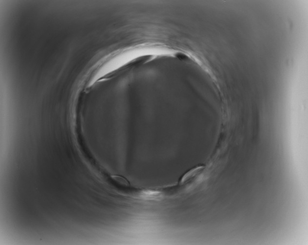 X0000088140055200706042017