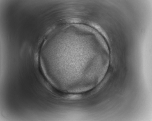 X0000088140057200706042017