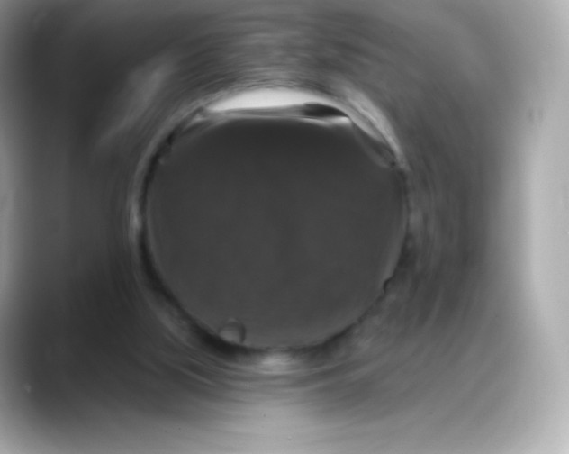 X0000088140059200706042017