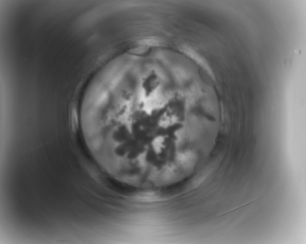 X0000088140061200706042017