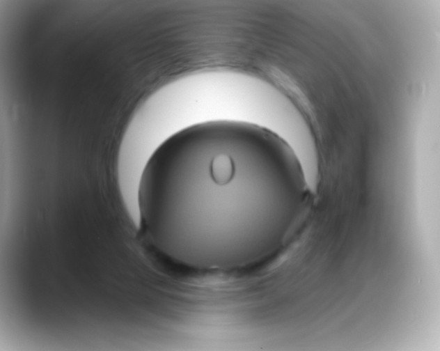 X0000088140065200706042017