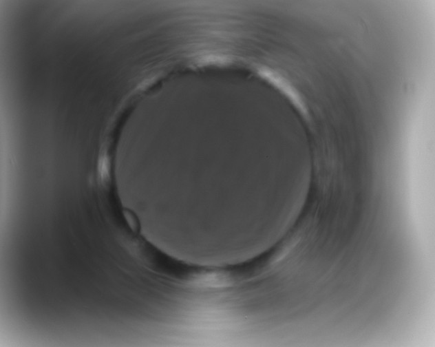 X0000088140067200706042017