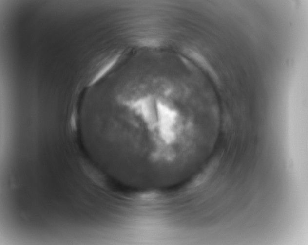 X0000088140068200706042017