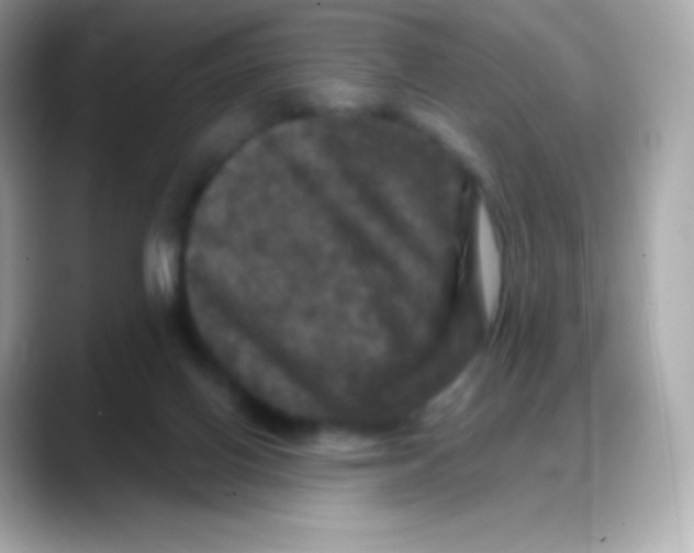 X0000088140070200706042017