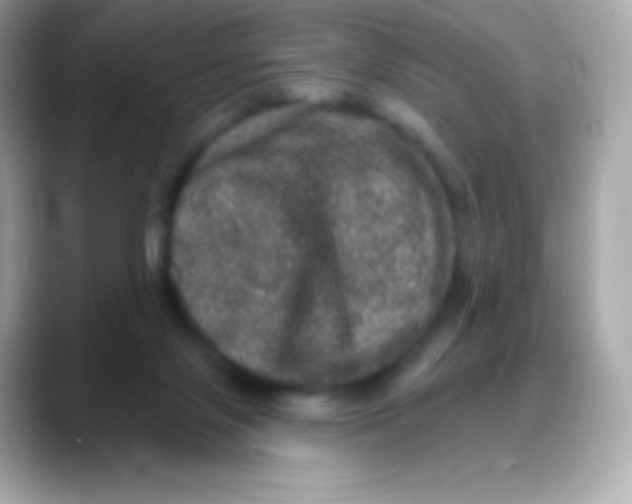 X0000088140071200706042017