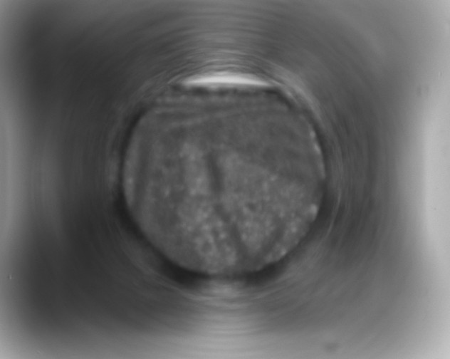 X0000088140073200706042017