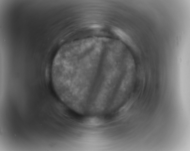 X0000088140074200706042017