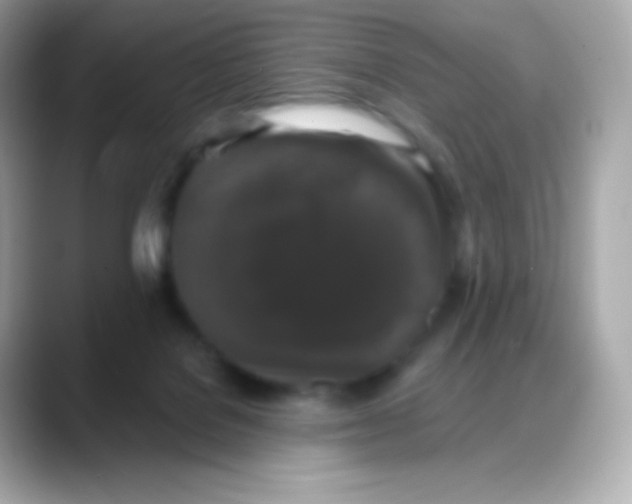 X0000088140076200706042017