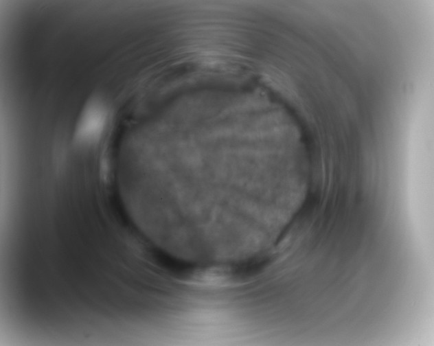 X0000088140078200706042017