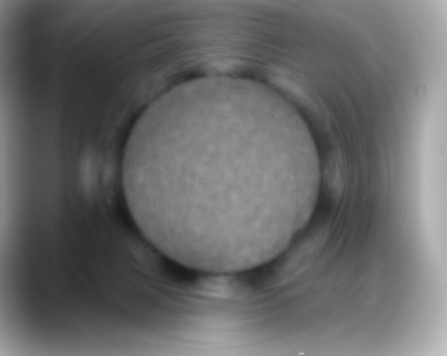 X0000088140079200706042017