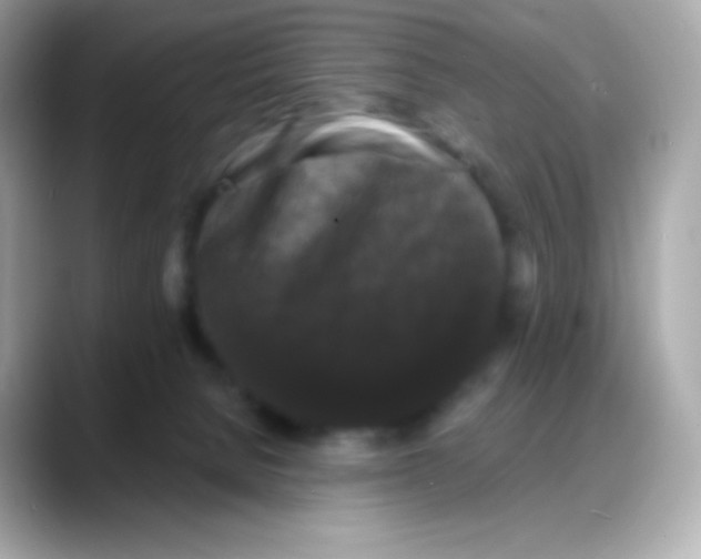 X0000088140080200706042017