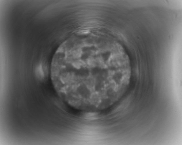 X0000088140081200706042017