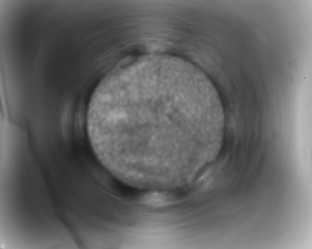 X0000088140082200706042017