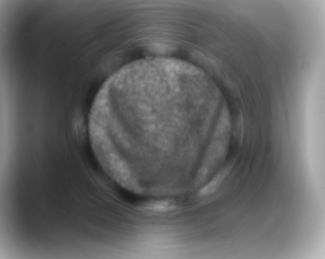 X0000088140086200706042017