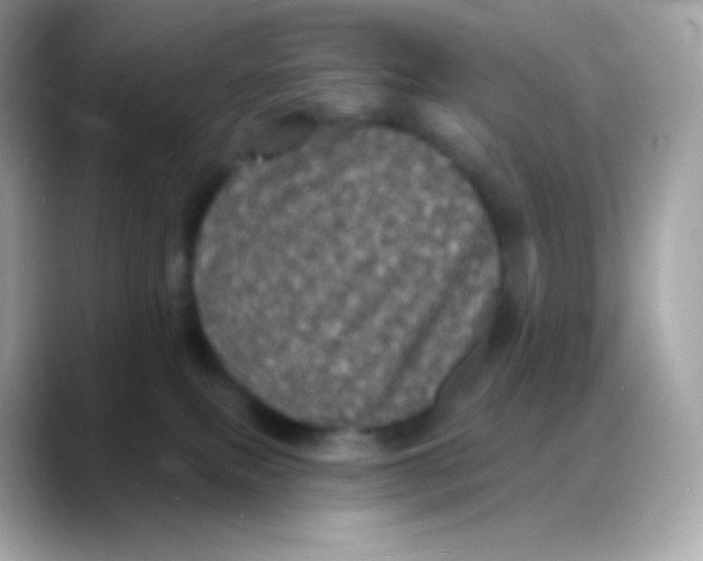 X0000088140087200706042017