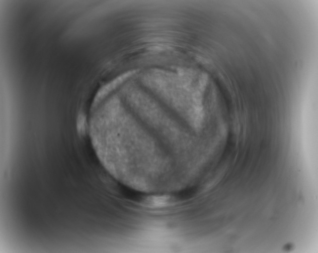 X0000088140089200706042017