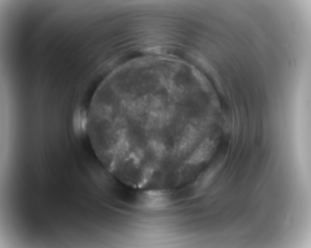 X0000088140095200706042018