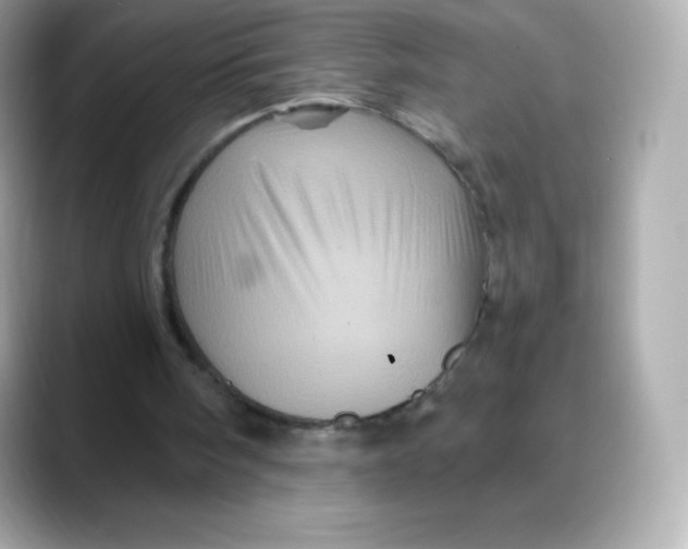 X0000088140098200706042017