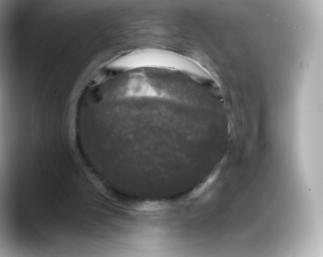 X0000088140101200706042017