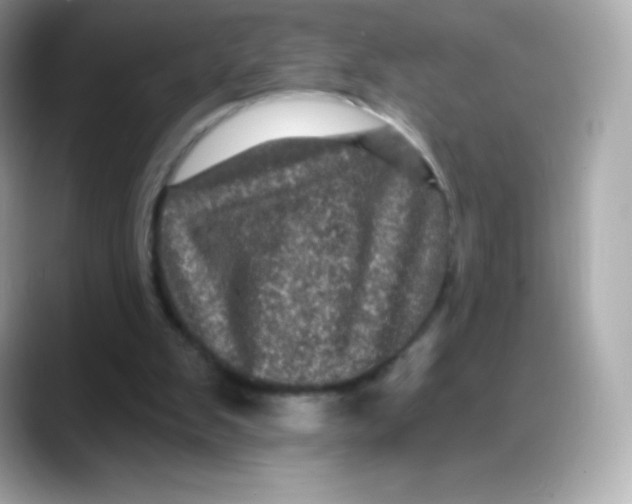 X0000088140103200706042017