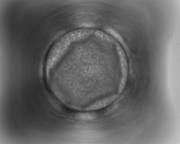 X0000088140106200706042017