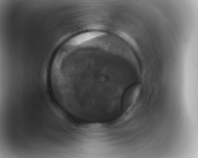 X0000088140108200706042017