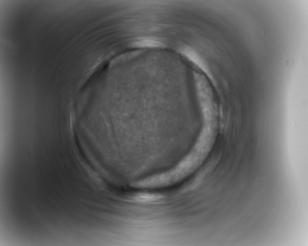 X0000088140109200706042017