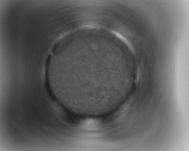 X0000088140111200706042017