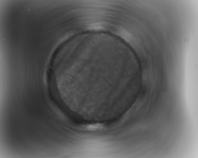 X0000088140112200706042017