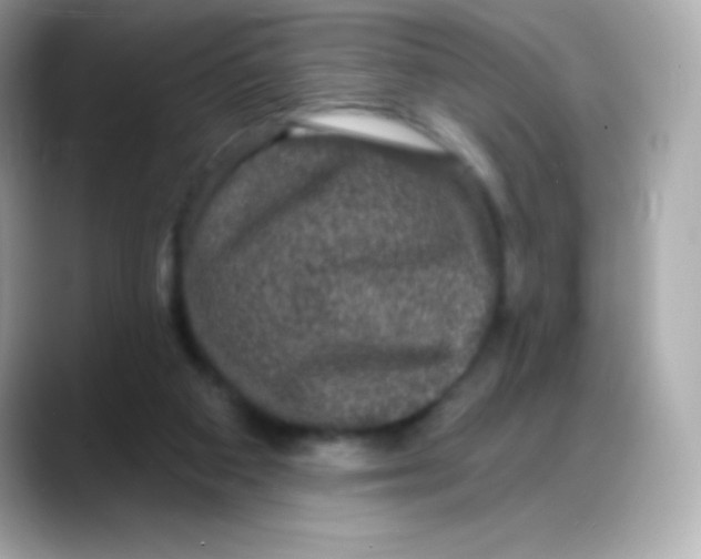 X0000088140113200706042017