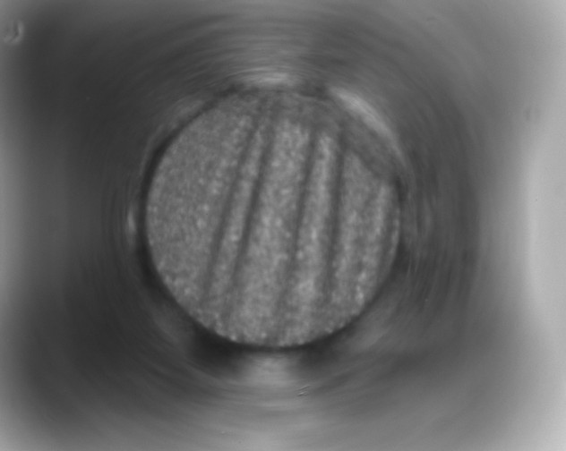 X0000088140115200706042017