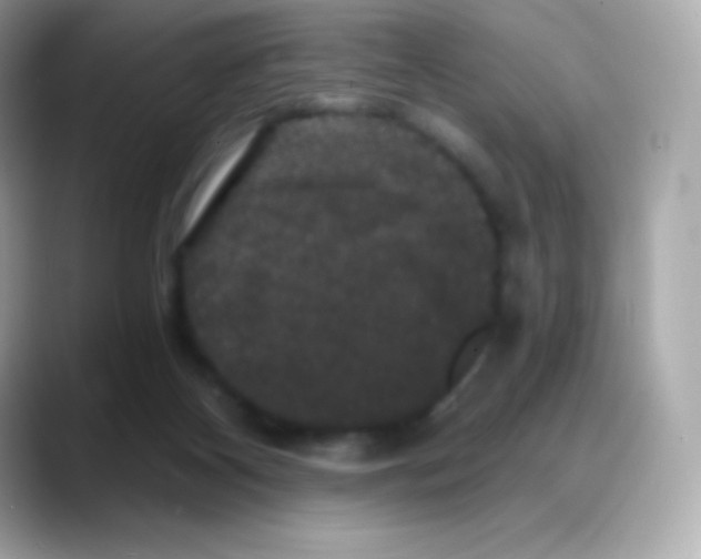 X0000088140116200706042017