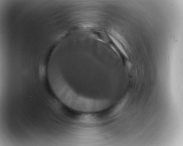 X0000088140117200706042017