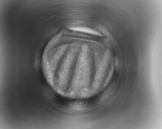 X0000088140119200706042017