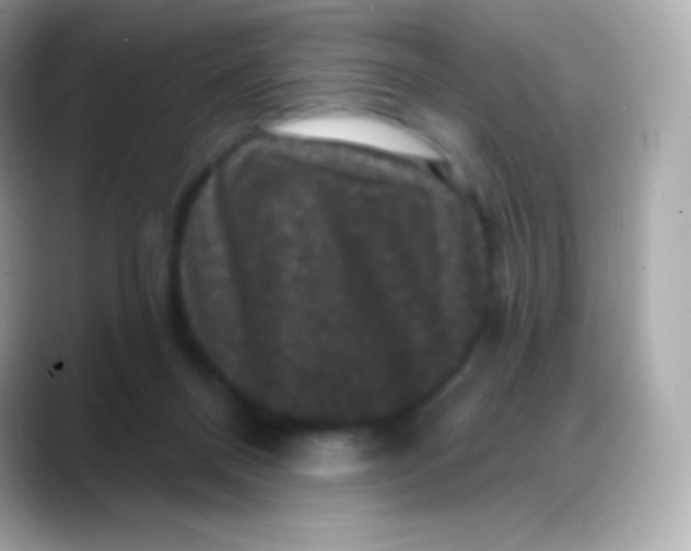 X0000088140120200706042017