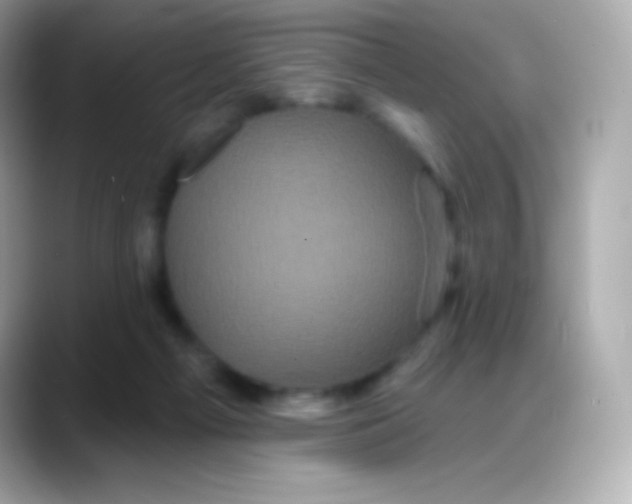 X0000088140121200706042017