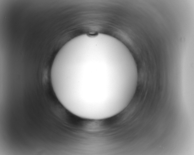 X0000088140122200706042017