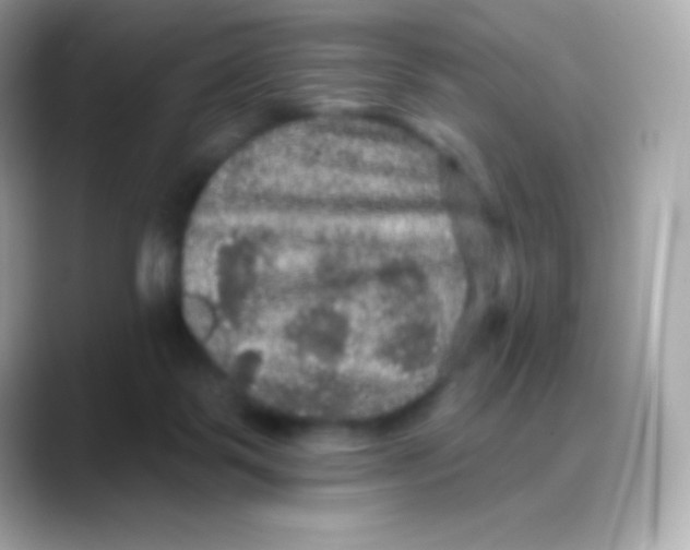 X0000088140123200706042017