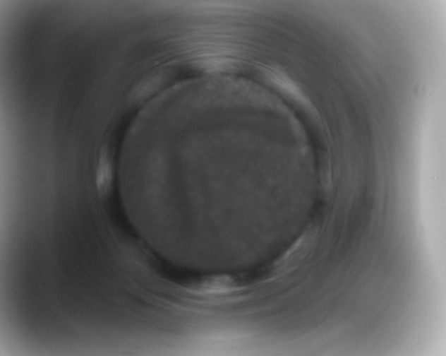 X0000088140124200706042017