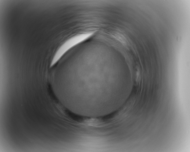 X0000088140125200706042017