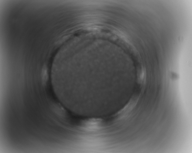 X0000088140128200706042016