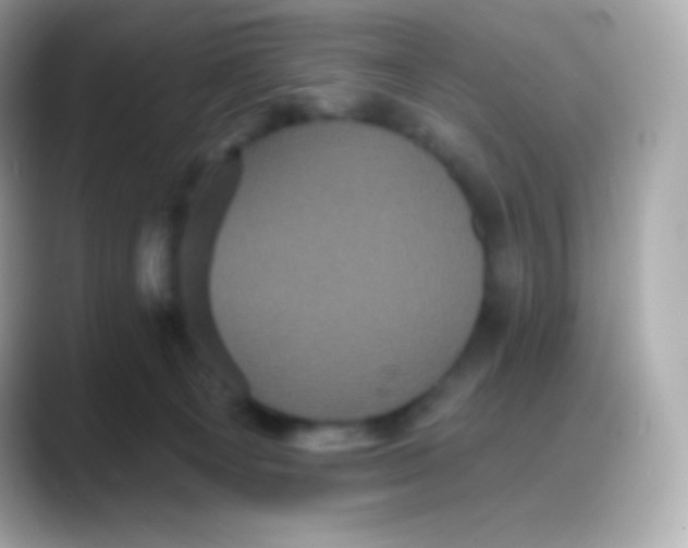 X0000088140129200706042016