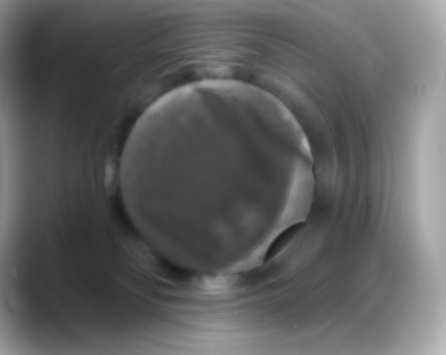 X0000088140134200706042016