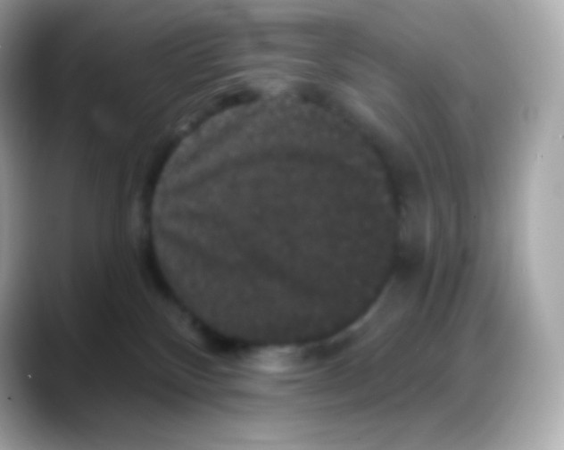 X0000088140136200706042016