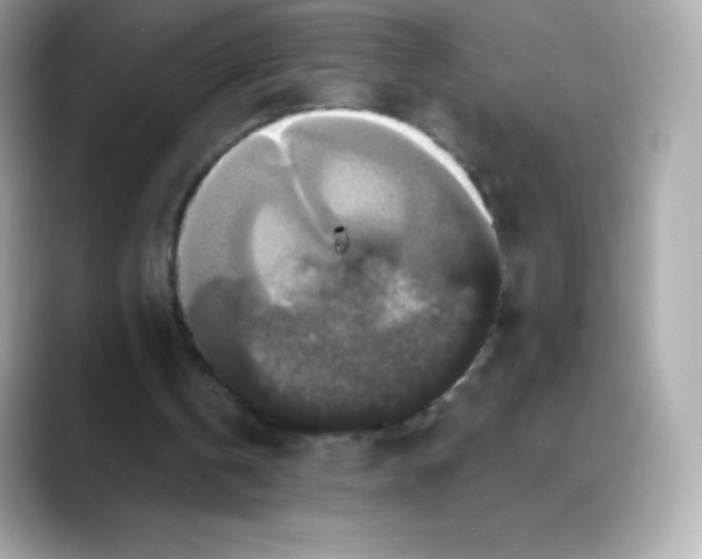 X0000088140146200706042016