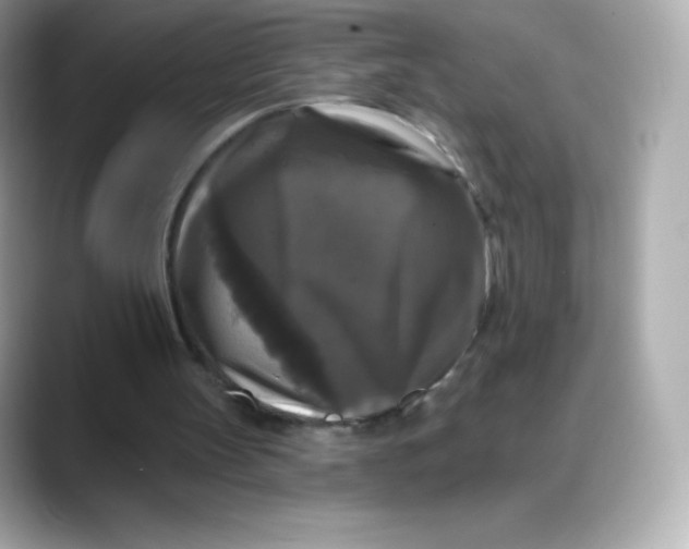 X0000088140147200706042016