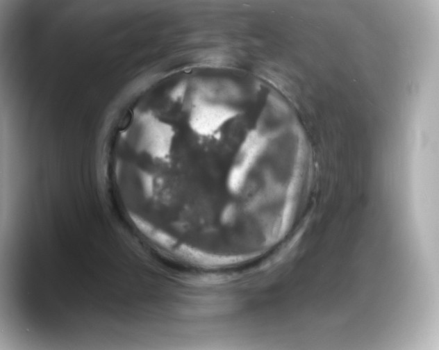 X0000088140149200706042016