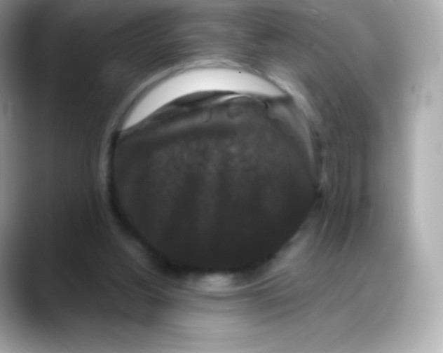 X0000088140156200706042016