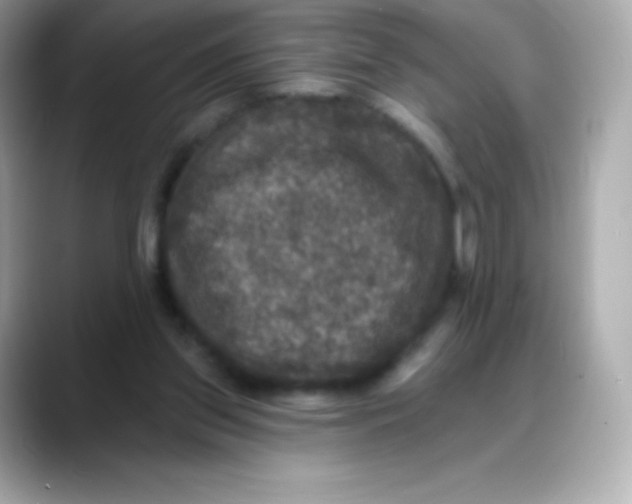 X0000088140157200706042016